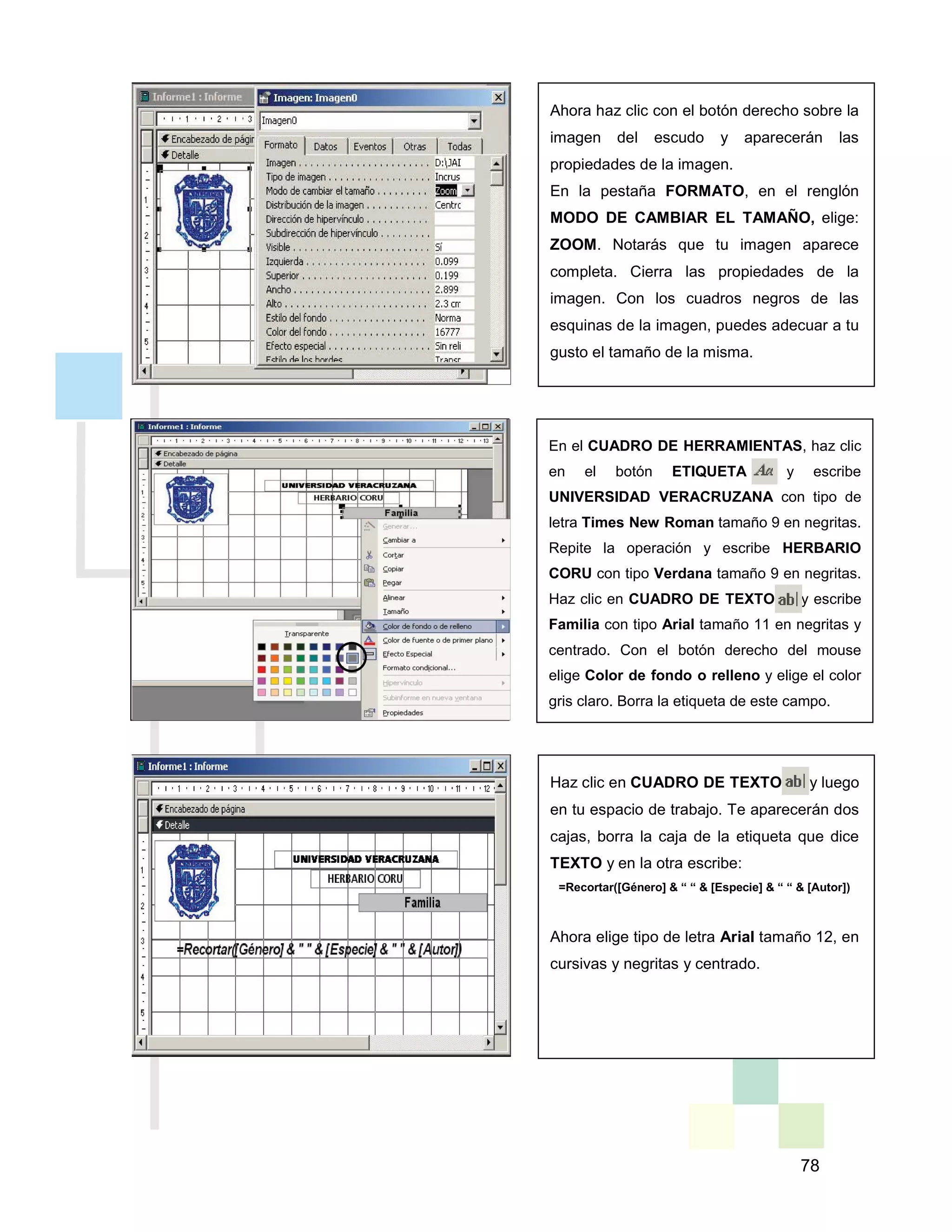 78
Ahora haz clic con el botón derecho sobre la
imagen del escudo y aparecerán las
propiedades de la imagen.
En la pestaña FORMATO, en el renglón
MODO DE CAMBIAR EL TAMAÑO, elige:
ZOOM. Notarás que tu imagen aparece
completa. Cierra las propiedades de la
imagen. Con los cuadros negros de las
esquinas de la imagen, puedes adecuar a tu
gusto el tamaño de la misma.
En el CUADRO DE HERRAMIENTAS, haz clic
en el botón ETIQUETA y escribe
UNIVERSIDAD VERACRUZANA con tipo de
letra Times New Roman tamaño 9 en negritas.
Repite la operación y escribe HERBARIO
CORU con tipo Verdana tamaño 9 en negritas.
Haz clic en CUADRO DE TEXTO y escribe
Familia con tipo Arial tamaño 11 en negritas y
centrado. Con el botón derecho del mouse
elige Color de fondo o relleno y elige el color
gris claro. Borra la etiqueta de este campo.
Haz clic en CUADRO DE TEXTO y luego
en tu espacio de trabajo. Te aparecerán dos
cajas, borra la caja de la etiqueta que dice
TEXTO y en la otra escribe:
=Recortar([Género] & “ “ & [Especie] & “ “ & [Autor])
Ahora elige tipo de letra Arial tamaño 12, en
cursivas y negritas y centrado.
 