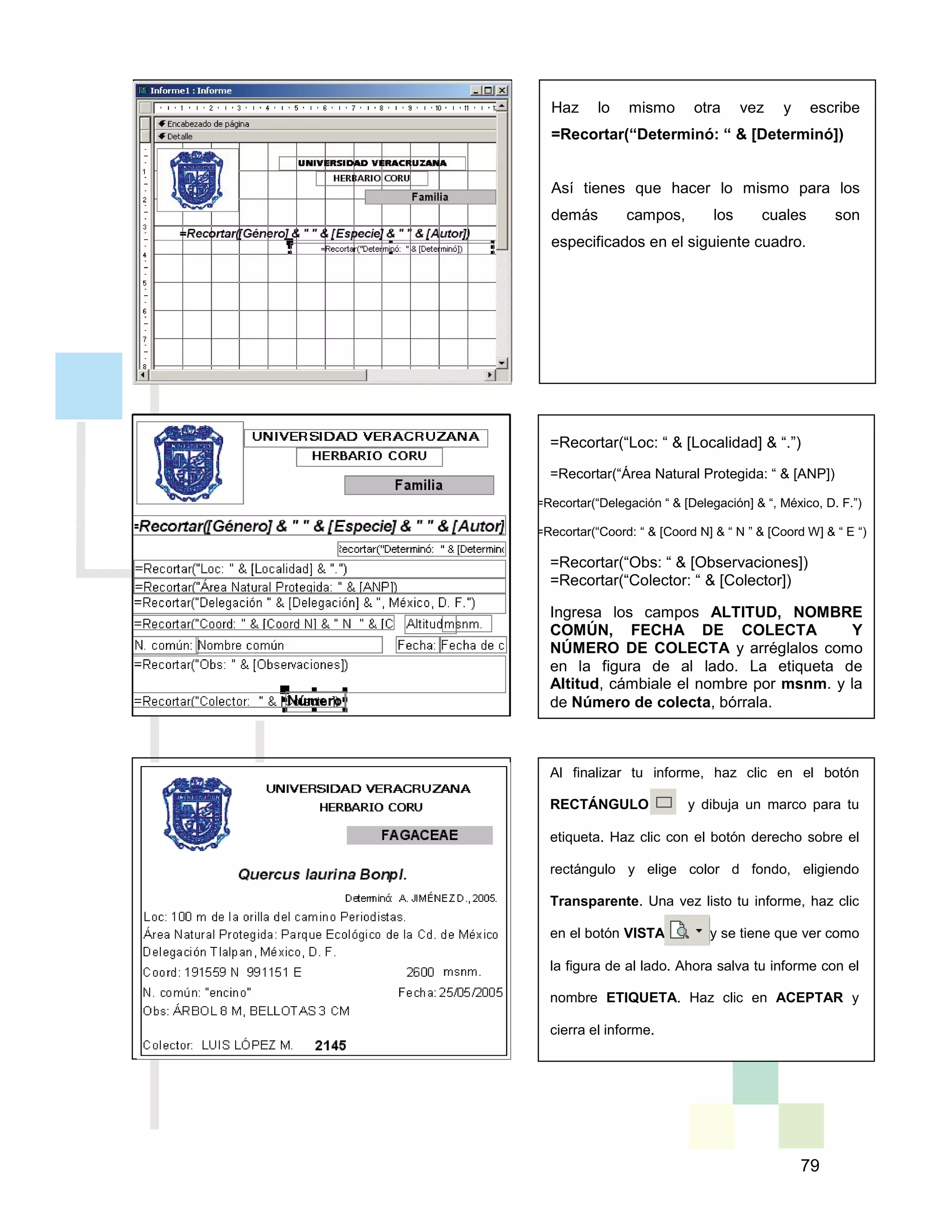 79
Haz lo mismo otra vez y escribe
=Recortar(“Determinó: “ & [Determinó])
Así tienes que hacer lo mismo para los
demás campos, los cuales son
especificados en el siguiente cuadro.
=Recortar(“Loc: “ & [Localidad] & “.”)
=Recortar(“Área Natural Protegida: “ & [ANP])
=Recortar(“Delegación “ & [Delegación] & “, México, D. F.”)
=Recortar(“Coord: “ & [Coord N] & “ N ” & [Coord W] & “ E “)
=Recortar(“Obs: “ & [Observaciones])
=Recortar(“Colector: “ & [Colector])
Ingresa los campos ALTITUD, NOMBRE
COMÚN, FECHA DE COLECTA Y
NÚMERO DE COLECTA y arréglalos como
en la figura de al lado. La etiqueta de
Altitud, cámbiale el nombre por msnm. y la
de Número de colecta, bórrala.
Al finalizar tu informe, haz clic en el botón
RECTÁNGULO y dibuja un marco para tu
etiqueta. Haz clic con el botón derecho sobre el
rectángulo y elige color d fondo, eligiendo
Transparente. Una vez listo tu informe, haz clic
en el botón VISTA y se tiene que ver como
la figura de al lado. Ahora salva tu informe con el
nombre ETIQUETA. Haz clic en ACEPTAR y
cierra el informe.
 