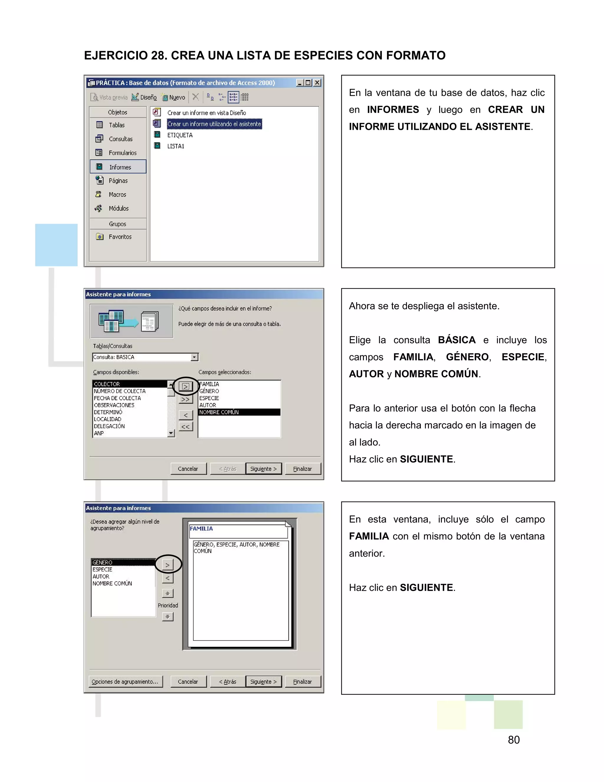 80
En la ventana de tu base de datos, haz clic
en INFORMES y luego en CREAR UN
INFORME UTILIZANDO EL ASISTENTE.
Ahora se te despliega el asistente.
Elige la consulta BÁSICA e incluye los
campos FAMILIA, GÉNERO, ESPECIE,
AUTOR y NOMBRE COMÚN.
Para lo anterior usa el botón con la flecha
hacia la derecha marcado en la imagen de
al lado.
Haz clic en SIGUIENTE.
En esta ventana, incluye sólo el campo
FAMILIA con el mismo botón de la ventana
anterior.
Haz clic en SIGUIENTE.
EJERCICIO 28. CREA UNA LISTA DE ESPECIES CON FORMATO
 