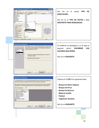19
Haz clic en el campo TIPO DE
VEGETACIÓN.
Haz clic en el TIPO DE DATOS y elige
ASISTENTE PARA BÚSQUEDAS.
Un asistente se desplegará y en él elige la
segunda opción: ESCRIBIRÉ LOS
VALORES QUE DESEE.
Haz clic en SIGUIENTE.
Captura en la COL1 los siguientes datos:
- Bosque de Abies religiosa
- Bosque de Pinus
- Bosque de Quercus
- Matorral xerófilo
- Pastizal
- Vegetación Acuática
Haz clic en SIGUIENTE.
 