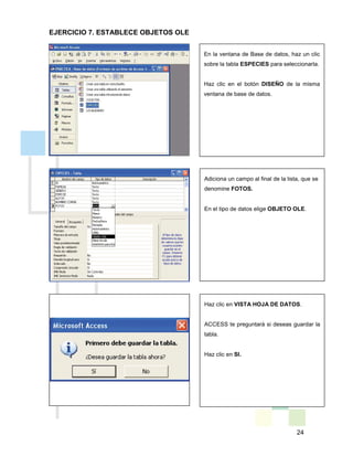 24
En la ventana de Base de datos, haz un clic
sobre la tabla ESPECIES para seleccionarla.
Haz clic en el botón DISEÑO de la misma
ventana de base de datos.
Adiciona un campo al final de la lista, que se
denomine FOTOS.
En el tipo de datos elige OBJETO OLE.
Haz clic en VISTA HOJA DE DATOS.
ACCESS te preguntará si deseas guardar la
tabla.
Haz clic en SI.
EJERCICIO 7. ESTABLECE OBJETOS OLE
 