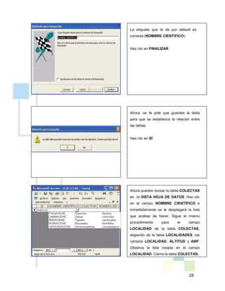 28
La etiqueta que te da por default es
correcta (NOMBRE CIENTÍFICO).
Haz clic en FINALIZAR.
Ahora, se te pide que guardes la tabla
para que se establezca la relación entre
las tablas.
Haz clic en SÍ.
Ahora puedes revisar tu tabla COLECTAS
en la VISTA HOJA DE DATOS. Haz clic
en el campo NOMBRE CIENTÍFICO e
inmediatamente se te desplegará la lista
que acabas de hacer. Sigue el mismo
procedimiento para el campo
LOCALIDAD de la tabla COLECTAS,
eligiendo de la tabla LOCALIDADES, los
campos LOCALIDAD, ALTITUD y ANP.
Observa la lista creada en el campo
LOCALIDAD. Cierra la tabla COLECTAS.
 