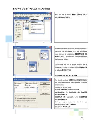 30
Haz clic en el menú HERRAMIENTAS y
elige RELACIONES.
Las tres tablas que creaste aparecerán en tu
ventana de relaciones, con las relaciones
que hicimos al establecer COLUMNAS DE
BÚSQUEDA. Acomódalas como aparece en
la figura de al lado.
Ahora haz clic con el botón derecho en la
línea negra que conecta la tabla ESPECIES
y la tabla COLECTAS.
Elige MODIFICAR RELACIÓN.
Se abre la ventana MODIFICAR RELACIONES,
en donde se muestran las dos tablas y campos
relacionados.
Haz clic en las tres cajas:
EXIGIR INTEGRIDAD REFERENCIAL
ACTUALIZAR EN CASCADA LOS CAMPOS
RELACIONADOS
ELIMINAR EN CASCADA LOS REGISTROS
RELACIONADOS.
Nota que abajo se indica el tipo de relación que
estás utilizando: UNO A VARIOS.
Haz clic en ACEPTAR.
EJERCICIO 9. ESTABLECE RELACIONES
 