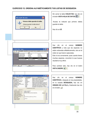 35
Sin cerrar la tabla COLECTAS, haz clic en
el botón VISTA HOJA DE DATOS .
Access te indicará que primero debes
guardar la tabla.
Haz clic en SÍ.
Haz clic en el campo NOMBRE
CIENTÍFICO y nota que las especies no
están ordenadas alfabéticamente, sino en el
orden en que fueron capturadas.
Esto no es conveniente, pues cuando tienes
muchas especies, encontrar la que buscas
resultaría muy difícil.
Para cambiar esto, haz clic en el botón
VISTA DISEÑO .
Haz clic en el campo NOMBRE
CIENTÍFICO y después en las propiedades,
en la carpeta BÚSQUEDA, haz clic en
ORIGEN DE LA FILA y finalmente haz clic
en el botón .
EJERCICIO 12. ORDENA ALFABÉTICAMENTE TUS LISTAS DE BÚSQUEDA
 