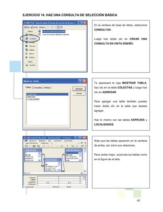 41
En la ventana de base de datos, selecciona
CONSULTAS.
Luego haz doble clic en CREAR UNA
CONSULTA EN VISTA DISEÑO.
Te aparecerá la caja MOSTRAR TABLA,
haz clic en la tabla COLECTAS y luego haz
clic en AGREGAR.
Para agregar una tabla también puedes
hacer doble clic en la tabla que desees
agregar.
Haz lo mismo con las tablas ESPECIES y
LOCALIDADES.
Nota que las tablas aparecen en la ventana
de arriba, así como sus relaciones.
Para verlas mejor, acomoda tus tablas como
en la figura de al lado.
EJERCICIO 14. HAZ UNA CONSULTA DE SELECCIÓN BÁSICA
 