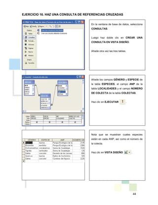 44
Añade los campos GÉNERO y ESPECIE de
la tabla ESPECIES, el campo ANP de la
tabla LOCALIDADES y el campo NÚMERO
DE COLECTA de la tabla COLECTAS.
Haz clic en EJECUTAR .
En la ventana de base de datos, selecciona
CONSULTAS.
Luego haz doble clic en CREAR UNA
CONSULTA EN VISTA DISEÑO.
Añade otra vez las tres tablas.
Nota que se muestran cuales especies
están en cada ANP, así como el número de
la colecta.
Haz clic en VISTA DISEÑO .
EJERCICIO 16. HAZ UNA CONSULTA DE REFERENCIAS CRUZADAS
 