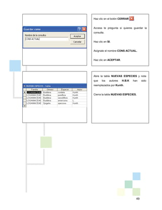 49
Abre la tabla NUEVAS ESPECIES y nota
que los autores H.B.K han sido
reemplazados por Kunth.
Cierra la tabla NUEVAS ESPECIES.
Haz clic en el botón CERRAR .
Access te pregunta si quieres guardar la
consulta.
Haz clic en SI.
Asígnale el nombre CONS ACTUAL.
Haz clic en ACEPTAR.
 