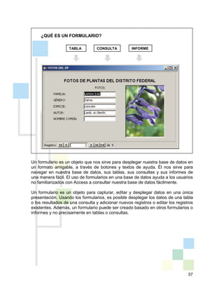 57
¿QUÉ ES UN FORMULARIO?
Un formulario es un objeto que nos sirve para desplegar nuestra base de datos en
un formato amigable, a través de botones y textos de ayuda. Él nos sirve para
navegar en nuestra base de datos, sus tablas, sus consultas y sus informes de
una manera fácil. El uso de formularios en una base de datos ayuda a los usuarios
no familiarizados con Access a consultar nuestra base de datos fácilmente.
Un formulario es un objeto para capturar, editar y desplegar datos en una única
presentación. Usando los formularios, es posible desplegar los datos de una tabla
o los resultados de una consulta y adicionar nuevos registros o editar los registros
existentes. Además, un formulario puede ser creado basado en otros formularios o
informes y no precisamente en tablas o consultas.
TABLA CONSULTA INFORME
 