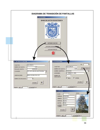 58
DIAGRAMA DE TRANSICIÓN DE PANTALLAS
 