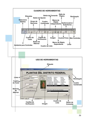 59
CUADRO DE HERRAMIENTAS
USO DE HERRAMIENTAS
Selecciona
Objetos
Asistente para Controles
Etiquetas
Cuadro de
Texto
Grupo de
Opciones
Botón de
Alternar
Botón de Opción
Casilla de
Verificación
Cuadro
Combinado
Cuadro de Lista
Botón de Comando
Imagen
Marco de Objeto
Dependiente
Marco de
Objeto
Independiente
Salto de
Página
Control Ficha
Subformulario /
Subinforme
Línea
Rectángulo
Más Controles
Etiqueta
Cuadro
de Texto
Línea
Botones
de
Alternar
Casillas de
Verificación Imagen
Rectángulo
Cuadro
Combinado
Cuadro de
Lista Botón de
Comando
 