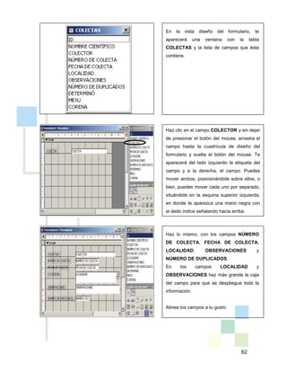 62
En la vista diseño del formulario, te
aparecerá una ventana con la tabla
COLECTAS y la lista de campos que ésta
contiene.
Haz clic en el campo COLECTOR y sin dejar
de presionar el botón del mouse, arrastra el
campo hasta la cuadrícula de diseño del
formulario y suelta el botón del mouse. Te
aparecerá del lado izquierdo la etiqueta del
campo y a la derecha, el campo. Puedes
mover ambos, posicionándote sobre ellos, o
bien, puedes mover cada uno por separado,
situándote en la esquina superior izquierda,
en donde te aparezca una mano negra con
el dedo índice señalando hacia arriba.
Haz lo mismo, con los campos NÚMERO
DE COLECTA, FECHA DE COLECTA,
LOCALIDAD, OBSERVACIONES y
NÚMERO DE DUPLICADOS.
En los campos LOCALIDAD y
OBSERVACIONES haz más grande la caja
del campo para que se despliegue toda la
información.
Alinea los campos a tu gusto.
 