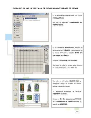68
En la ventana de Base de datos, haz clic en
FORMULARIOS.
Haz clic en CREAR FORMULARIO EN
VISTA DISEÑO.
En el Cuadro de Herramientas, haz clic en
la herramienta ETIQUETA. Luego haz clic en
tu nuevo formulario y escribe BASE DE
DATOS DE BOTÁNICA.
Asígnale fuente ARIAL de 12 Puntos.
Si el texto no cabe en tu caja, sitúa el cursor
en cualquier esquina y haz doble clic.
Haz clic en el botón IMAGEN y
enseguida dibuja un cuadro en donde
quieras insertar tu imagen.
Te aparecerá enseguida la ventana
INSERTAR IMAGEN.
Busca en C: Mis documentos/CURSO
ACCESS/ARCHIVOS UTILES/escudo y
haz clic en ACEPTAR.
EJERCICIO 24. HAZ LA PANTALLA DE BIENVENIDA DE TU BASE DE DATOS
 