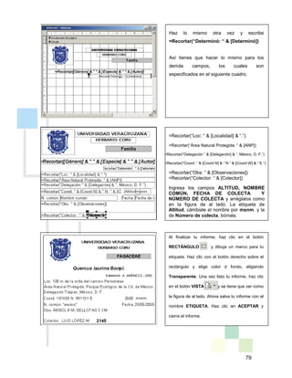 79
Haz lo mismo otra vez y escribe
=Recortar(“Determinó: “ & [Determinó])
Así tienes que hacer lo mismo para los
demás campos, los cuales son
especificados en el siguiente cuadro.
=Recortar(“Loc: “ & [Localidad] & “.”)
=Recortar(“Área Natural Protegida: “ & [ANP])
=Recortar(“Delegación “ & [Delegación] & “, México, D. F.”)
=Recortar(“Coord: “ & [Coord N] & “ N ” & [Coord W] & “ E “)
=Recortar(“Obs: “ & [Observaciones])
=Recortar(“Colector: “ & [Colector])
Ingresa los campos ALTITUD, NOMBRE
COMÚN, FECHA DE COLECTA Y
NÚMERO DE COLECTA y arréglalos como
en la figura de al lado. La etiqueta de
Altitud, cámbiale el nombre por msnm. y la
de Número de colecta, bórrala.
Al finalizar tu informe, haz clic en el botón
RECTÁNGULO y dibuja un marco para tu
etiqueta. Haz clic con el botón derecho sobre el
rectángulo y elige color d fondo, eligiendo
Transparente. Una vez listo tu informe, haz clic
en el botón VISTA y se tiene que ver como
la figura de al lado. Ahora salva tu informe con el
nombre ETIQUETA. Haz clic en ACEPTAR y
cierra el informe.
 