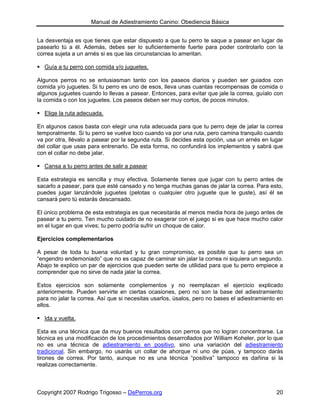 Manual de Adiestramiento Canino: Obediencia Básica


La desventaja es que tienes que estar dispuesto a que tu perro te saque a pasear en lugar de
pasearlo tú a él. Además, debes ser lo suficientemente fuerte para poder controlarlo con la
correa sujeta a un arnés si es que las circunstancias lo ameritan.

  Guía a tu perro con comida y/o juguetes.

Algunos perros no se entusiasman tanto con los paseos diarios y pueden ser guiados con
comida y/o juguetes. Si tu perro es uno de esos, lleva unas cuantas recompensas de comida o
algunos juguetes cuando lo llevas a pasear. Entonces, para evitar que jale la correa, guíalo con
la comida o con los juguetes. Los paseos deben ser muy cortos, de pocos minutos.

  Elige la ruta adecuada.

En algunos casos basta con elegir una ruta adecuada para que tu perro deje de jalar la correa
temporalmente. Si tu perro se vuelve loco cuando va por una ruta, pero camina tranquilo cuando
va por otra, llévalo a pasear por la segunda ruta. Si decides esta opción, usa un arnés en lugar
del collar que usas para entrenarlo. De esta forma, no confundirá los implementos y sabrá que
con el collar no debe jalar.

  Cansa a tu perro antes de salir a pasear

Esta estrategia es sencilla y muy efectiva. Solamente tienes que jugar con tu perro antes de
sacarlo a pasear, para que esté cansado y no tenga muchas ganas de jalar la correa. Para esto,
puedes jugar lanzándole juguetes (pelotas o cualquier otro juguete que le guste), así él se
cansará pero tú estarás descansado.

El único problema de esta estrategia es que necesitarás al menos media hora de juego antes de
pasear a tu perro. Ten mucho cuidado de no exagerar con el juego si es que hace mucho calor
en el lugar en que vives; tu perro podría sufrir un choque de calor.

Ejercicios complementarios

A pesar de toda tu buena voluntad y tu gran compromiso, es posible que tu perro sea un
“engendro endemoniado” que no es capaz de caminar sin jalar la correa ni siquiera un segundo.
Abajo te explico un par de ejercicios que pueden serte de utilidad para que tu perro empiece a
comprender que no sirve de nada jalar la correa.

Estos ejercicios son solamente complementos y no reemplazan el ejercicio explicado
anteriormente. Pueden servirte en ciertas ocasiones, pero no son la base del adiestramiento
para no jalar la correa. Así que si necesitas usarlos, úsalos, pero no bases el adiestramiento en
ellos.

  Ida y vuelta.

Esta es una técnica que da muy buenos resultados con perros que no logran concentrarse. La
técnica es una modificación de los procedimientos desarrollados por William Koheler, por lo que
no es una técnica de adiestramiento en positivo, sino una variación del adiestramiento
tradicional. Sin embargo, no usarás un collar de ahorque ni uno de púas, y tampoco darás
tirones de correa. Por tanto, aunque no es una técnica “positiva” tampoco es dañina si la
realizas correctamente.



Copyright 2007 Rodrigo Trigosso – DePerros.org                                                20
 