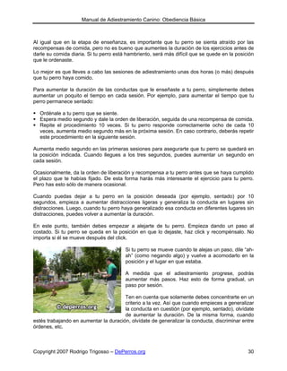 Manual de Adiestramiento Canino: Obediencia Básica



Al igual que en la etapa de enseñanza, es importante que tu perro se sienta atraído por las
recompensas de comida, pero no es bueno que aumentes la duración de los ejercicios antes de
darle su comida diaria. Si tu perro está hambriento, será más difícil que se quede en la posición
que le ordenaste.

Lo mejor es que lleves a cabo las sesiones de adiestramiento unas dos horas (o más) después
que tu perro haya comido.

Para aumentar la duración de las conductas que le enseñaste a tu perro, simplemente debes
aumentar un poquito el tiempo en cada sesión. Por ejemplo, para aumentar el tiempo que tu
perro permanece sentado:

  Ordénale a tu perro que se siente.
  Espera medio segundo y dale la orden de liberación, seguida de una recompensa de comida.
  Repite el procedimiento 10 veces. Si tu perro responde correctamente ocho de cada 10
  veces, aumenta medio segundo más en la próxima sesión. En caso contrario, deberás repetir
  este procedimiento en la siguiente sesión.

Aumenta medio segundo en las primeras sesiones para asegurarte que tu perro se quedará en
la posición indicada. Cuando llegues a los tres segundos, puedes aumentar un segundo en
cada sesión.

Ocasionalmente, da la orden de liberación y recompensa a tu perro antes que se haya cumplido
el plazo que te habías fijado. De esta forma harás más interesante el ejercicio para tu perro.
Pero has esto sólo de manera ocasional.

Cuando puedas dejar a tu perro en la posición deseada (por ejemplo, sentado) por 10
segundos, empieza a aumentar distracciones ligeras y generaliza la conducta en lugares sin
distracciones. Luego, cuando tu perro haya generalizado esa conducta en diferentes lugares sin
distracciones, puedes volver a aumentar la duración.

En este punto, también debes empezar a alejarte de tu perro. Empieza dando un paso al
costado. Si tu perro se queda en la posición en que lo dejaste, haz click y recompénsalo. No
importa si él se mueve después del click.

                                        Si tu perro se mueve cuando te alejas un paso, dile “ah-
                                        ah” (como negando algo) y vuelve a acomodarlo en la
                                        posición y el lugar en que estaba.

                                        A medida que el adiestramiento progrese, podrás
                                        aumentar más pasos. Haz esto de forma gradual, un
                                        paso por sesión.

                                       Ten en cuenta que solamente debes concentrarte en un
                                       criterio a la vez. Así que cuando empieces a generalizar
                                       la conducta en cuestión (por ejemplo, sentado), olvídate
                                       de aumentar la duración. De la misma forma, cuando
estés trabajando en aumentar la duración, olvídate de generalizar la conducta, discriminar entre
órdenes, etc.



Copyright 2007 Rodrigo Trigosso – DePerros.org                                                30
 