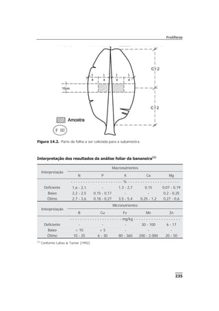 235
Frutíferas
Interpretação dos resultados da análise foliar da bananeira(1)
Interpretação
Macronutrientes
N P K Ca Mg
- - - - - - - - - - - - - - - - - - - - - % - - - - - - - - - - - - - - - - - - - - -
Deficiente 1,6 - 2,1 - 1,3 - 2,7 0,15 0,07 - 0,19
Baixo 2,2 - 2,5 0,15 - 0,17 - - 0,2 - 0,25
Ótimo 2,7 - 3,6 0,18 - 0,27 3,5 - 5,4 0,25 - 1,2 0,27 - 0,6
Interpretação
Micronutrientes
B Cu Fe Mn Zn
- - - - - - - - - - - - - - - - - - - - - mg/kg - - - - - - - - - - - - - - - - - - -
Deficiente - - - 30 - 100 6 - 17
Baixo < 10 < 5 - - -
Ótimo 10 - 25 6 - 30 80 - 360 200 - 2.000 20 - 50
(1)
Conforme Lahav & Turner (1992).
Figura 14.2. Parte da folha a ser coletada para a subamostra.
 