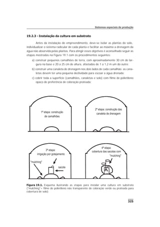 19.2.3 - Instalação da cultura em substrato
Antes da instalação do empreendimento, deve-se isolar as plantas do solo,
individualizar o sistema radicular de cada planta e facilitar ao máximo a drenagem da
água não absorvida pelas plantas. Para atingir esses objetivos é aconselhado seguir as
etapas mostradas na Figura 19.1 com os procedimentos seguintes:
a) construir pequenos camalhões de terra, com aproximadamente 30 cm de lar-
gura na base e 20 a 25 cm de altura, afastados de 1 a 1,2 m um do outro;
b) construir uma canaleta de drenagem nos dois lados de cada camalhão; as cana-
letas devem ter uma pequena declividade para escoar a água drenada;
c) cobrir toda a superfície (camalhões, canaletas e solo) com filme de polietileno
opaco de preferência de coloração prateada;
325
Sistemas especiais de produção
Figura 19.1. Esquema ilustrando as etapas para instalar uma cultura em substrato
("mulching"= filme de polietileno não transparente de coloração verde ou prateada para
cobertura de solo).
4ª etapa:
cobertura das sacolas com3ª etapa:
irrigação por gotejamento
"mulching"
sacola
"mulching"
1ª etapa: construção
de camalhões
2ª etapa: construção das
canaleta de drenagem
 