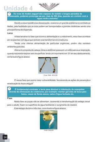 Os ovos do Aedes aegypti são capazes de resistir a longos períodos de
dessecação, podendo prolongar-se por, mas de 365 dias, quando em contato com a
3
água vindo a eclosão
Devido a essa resistência a dessecação, ocasiona um grande problema no combate ao
Aedes; pela facilidade que os ovos podem ser transportados a grandes distâncias sendo uma
principal forma de dispersão.
Larva
A fase larvária é a fase que ocorre a alimentação e o crescimento, essa fase acontece
em recipientes com água que venham a se transformar em criadouros.
Tendo uma intensa alimentação de partículas orgânicas, porém não resistem
ambientes poluídos.
Alarva é composta de cabeça, tórax e abdômen possuem um sifão para sua respiração,
quando necessita respirar vem à superfície, tendo um movimento em “S” em seu deslocamento,
como ilustra figura abaixo:
Fonte: SAM - IEC/LRS
É nessa fase que ocorre maior vulnerabilidade, favorecendo as ações de prevenção e
3
erradicação do Aedes aegypti
É fundamental combater a larva para diminuir a infestação de mosquitos
através de eliminação de criadouros, por exemplo: manter garrafas de boca para
baixo, vasos de flores secos, caixa d’água fechada etc.
Pupa
Nesta fase as pupas não se alimentam, ocorrendo a transformação do estágio larval
para o adulto; ficam na superfície da água facilitando o surgimento do inseto3.
Este estágio de dois a três dias, como ilustra a figura abaixo:
Fonte: DIVE/SC
24
Unidade 4
 