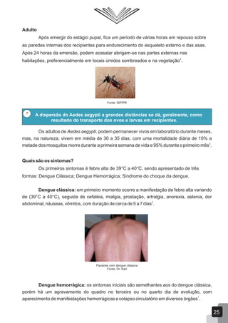 Adulto
Após emergir do estágio pupal, fica um período de várias horas em repouso sobre
as paredes internas dos recipientes para endurecimento do esqueleto externo e das asas.
Após 24 horas da emersão, podem acasalar abrigam-se nas partes externas nas
4
habitações, preferencialmente em locais úmidos sombreados e na vegetação .
Fonte: ISP/PR
A dispersão do Aedes aegypti a grandes distâncias se dá, geralmente, como
resultado do transporte dos ovos e larvas em recipientes.
Os adultos de Aedes aegypti, podem permanecer vivos em laboratório durante meses,
mas, na natureza, vivem em média de 30 a 35 dias; com uma mortalidade diária de 10% a
3
metade dos mosquitos morre durante a primeira semana de vida e 95% durante o primeiro mês .
Quais são os sintomas?
Os primeiros sintomas é febre alta de 39°C a 40°C, sendo apresentado de três
formas: Dengue Clássica; Dengue Hemorrágica; Síndrome do choque da dengue.
Dengue clássica: em primeiro momento ocorre a manifestação de febre alta variando
de (39°C a 40°C), seguida de cefaléia, mialgia, prostação, artralgia, anorexia, astenia, dor
2
abdominal, náuseas, vômitos, com duração de cerca de 5 a 7 dias .
Paciente com dengue clássica
Fonte: Dr. Karl
Dengue hemorrágica: os sintomas iniciais são semelhantes aos do dengue clássica,
porém há um agravamento do quadro no terceiro ou no quarto dia de evolução, com
1
aparecimento de manifestações hemorrágicas e colapso circulatório em diversos órgãos .
25
 