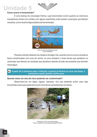 Como ocorre á transmissão?
É uma doença de veiculação hídrica, cuja transmissão ocorre quando os indivíduos
susceptíveis entram em contato com águas superficiais onde existam caramujos que liberam
cercárias, (como ilustra a figura abaixo da transmissão):
Ciclo de vida da esquistossomose.
Fonte: DEMSUR
Pessoas doentes defecam as margens de lagos rios, quando ocorre a chuva arrasta as
fezes contaminadas com ovos do verme, os ovos eclodem e viram larvas que penetram no
caramujos que liberam as cercárias que penetram através da pele nas pessoas que banham
nessa água.
A partir de 5 semanas após a infecção a pessoa já elimina os ovos nas fezes, e
permanece assim durante vários anos.
Quando estou em área de risco podendo ser contaminado?
Observarem-se em lagos, lagoas, represas, rios que pretende entrar caso seja
encontrado caramujos podendo ocorrer risco de ser parasitado por cercárias.
Pessoas em risco de contaminação.
Fonte: Laboratório de ecoepidemiologia/FIOCRUZ
Unidade 5
32
 