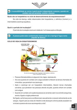 A suscetibilidade ao verme é geral sendo independente a pessoa, quando em
contato com as cercárias, contraí a doença.
Quais são os hospedeiros no ciclo de desenvolvimento da esquistossomose?
No ciclo da doença, estão relacionados dois hospedeiros, o definitivo (homem) e o
intermediário (caramujo aquático).
Qual é o período de incubação?
O período de incubação ocorre em média de 1 a 2 meses após a infecção.
A pessoa pode estar contaminada mesmo sem ter a barriga d' água nome
popular da doença.
CICLO DE VIDA DA ESQUITOSSOMOSE
No ciclo da esquistossomose hospedeiro intermediário e definitivo.
Fonte: Portal São Francisco.
 Pessoa infectada defeca na água em rios, lagos, represas etc.
 Os ovos quando em contato com a água eclodem e liberam as larvas chamadas de
miracídios, que penetram nos caramujos.
 Após o caramujo ser um hospedeiro intermediário, liberam larvas chamadas
cercárias; que penetram nas pessoas através da pele, quando entram em contato
com a água.
 Quando em contato com a pele da pessoa as cercárias caem na corrente sanguínea,
sendo o fígado o órgão preferencial.
No fígado, as formas jovens se diferenciam sexualmente e crescem alimentando-se de
sangue, migram para as veias do intestino onde alcançam a forma adulta acasalam-se
2
e iniciam a postura de ovos recomeçando o ciclo .
33
 
