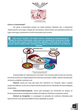 Trypanossoma cruzi
Fonte: Aprender Ciências
Como é a transmissão?
Em geral, é transmitida quando um inseto barbeiro infectado com o protozoário
Trypanossoma cruzi suga o sangue de uma pessoa, elimina fezes com parasitas próximo do
lugar onde sugou, penetrando no orifício da picada ou por coceira.
Este animal “barbeiro” tem hábito noturno, alimenta-se exclusivamente do
sangue de animais vertebrados, tendo como seu ambiente de vivência em frestas
de casas a pau a pique, camas e colchões, depósitos, ninhos de aves, tronco de
árvores, dentre outros locais, preferência em lugares mais próximos à sua fonte de
alimento.
Modo que ocorre a transmissão.
Fonte: Portal São Francisco
A transmissão do Trypanossoma cruzi para o ser humano pode ocorrer por diversas,
formas de acordo com Organizações Pan Americana da Saúde, (2009): vetorial; transfusional;
vertical ou congênita; acidental; oral.
Vetorial: ocorre por meio das fezes dos “barbeiros” ou “chupões” após o repasto
sanguíneo defecam, junto com as fezes são eliminados formas infectantes de tripomastigotas
metacíclicos.
Trasnfusional/transplante: ocorre pela passagem por transfusão de sangue ou
hemocomponentes ou transplante de órgãos de doadores infectados a receptoras sadios.
Vertical ou Congênita: é a passagem de parasitas de mulheres infectadas pelo
trypanossoma cruzi, para seus bebês durante a gestação ou o parto.
39
 