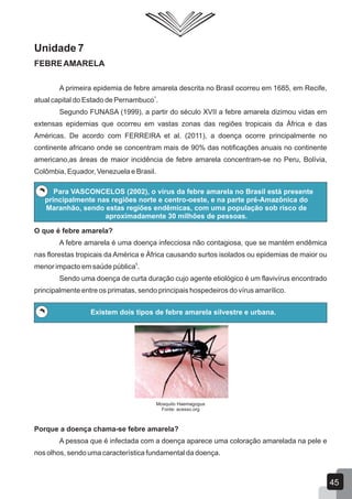 Unidade 7
FEBREAMARELA
A primeira epidemia de febre amarela descrita no Brasil ocorreu em 1685, em Recife,
1
atual capital do Estado de Pernambuco .
Segundo FUNASA (1999), a partir do século XVII a febre amarela dizimou vidas em
extensas epidemias que ocorreu em vastas zonas das regiões tropicais da África e das
Américas. De acordo com FERREIRA et al. (2011), a doença ocorre principalmente no
continente africano onde se concentram mais de 90% das notificações anuais no continente
americano,as áreas de maior incidência de febre amarela concentram-se no Peru, Bolívia,
Colômbia, Equador, Venezuela e Brasil.
Para VASCONCELOS (2002), o vírus da febre amarela no Brasil está presente
principalmente nas regiões norte e centro-oeste, e na parte pré-Amazônica do
Maranhão, sendo estas regiões endêmicas, com uma população sob risco de
aproximadamente 30 milhões de pessoas.
O que é febre amarela?
A febre amarela é uma doença infecciosa não contagiosa, que se mantém endêmica
nas florestas tropicais da América e África causando surtos isolados ou epidemias de maior ou
5
menor impacto em saúde pública .
Sendo uma doença de curta duração cujo agente etiológico é um flavivírus encontrado
principalmente entre os primatas, sendo principais hospedeiros do vírus amarílico.
Existem dois tipos de febre amarela silvestre e urbana.
Mosquito Haemagogus
Fonte: acesso.org
Porque a doença chama-se febre amarela?
A pessoa que é infectada com a doença aparece uma coloração amarelada na pele e
nos olhos, sendo uma característica fundamental da doença.
45
 