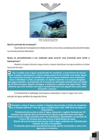 Ratos no meio de uma enchente.
Fonte: Ubirajando.blogspot.com
Qual é o período de incubação?
O período de incubação é em média de dois a cinco dias e as leptospiras são eliminadas
4
na urina de animais infectados .
Quais os procedimentos a ser realizado após ocorrer uma enchente para evitar a
leptospirose?
Realizar a limpeza retirando a água e lama, e depois desinfectar com água sanitária ou utilizar
hipoclorito de sódio.
Se o contato com a água contaminada for inevitável, a única forma de reduzir
riscos à saúde é permanecer o menor tempo possível em contato com essas águas.
Se a enchente inundar as residências, após as águas baixarem será necessário
lavar e desinfetar o chão, as paredes, os objetos caseiros e as roupas atingidas
com água sanitária, na proporção de 4 xícaras de café deste produto para um balde
de 20 litros de água. Depois, enxaguar o ambiente e objetos com água limpa. Todo
alimento que teve contato com água contaminada deve ser jogado fora, pois pode
transmitir a doença.
É fundamental a realização da limpeza e desinfetar a caixa d' água com uma
solução de água sanitária da seguinte forma:
Esvaziar a caixa d' água e realizar a limpeza das paredes e fundo do recipiente,
após a limpeza adicione 1 litro de água sanitária para cada 1000 litros de água no
reservatório.
Posteriormente encha a caixa d' água, deixando o registro fechado por 35
minutos, em seguida abra as torneiras por alguns segundos para essa água
misturar-se com a água sanitária entre nas tubulações; aguardando um período de
1 hora e 20 minutos para que ocorra a desinfecção da caixa.
Depois abra as torneiras para escoar toda a água, podendo ser utilizada para
limpeza de chão e de paredes.
Finalmente após esses procedimentos pode encher novamente a caixa com
água para o consumo.
58
 