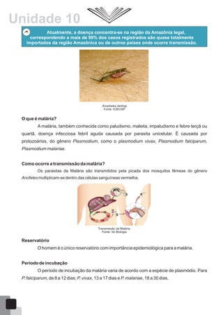 Anopheles darlingi
Fonte: ICB/USP
Atualmente, a doença concentra-se na região da Amazônia legal,
correspondendo a mais de 99% dos casos registrados são quase totalmente
importados da região Amazônica ou de outros países onde ocorre transmissão.
O que é malária?
A malária, também conhecida como paludismo, maleita, impaludismo e febre terçã ou
quartã, doença infecciosa febril aguda causada por parasita unicelular. É causada por
protozoários, do gênero Plasmodium, como o plasmodium vivax, Plasmodium falciparum,
Plasmodium malariae.
Como ocorre a transmissão da malária?
Os parasitas da Malária são transmitidos pela picada dos mosquitos fêmeas do gênero
Anofeles multiplicam-se dentro das células sanguíneas vermelha.
Transmissão da Malária.
Fonte: Só Biologia
Reservatório
O homem é o único reservatório com importância epidemiológica para a malária.
Período de incubação
O período de incubação da malária varia de acordo com a espécie de plasmódio. Para
P. falciparum, de 8 a 12 dias; P. vivax, 13 a 17 dias e P. malariae, 18 a 30 dias.
Unidade 10
63
 