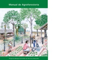 CEDRO
BANANA
MAMÓN
AGUACATE
PERA
CEDRÓN CAPI’I
TILO
MENTA
NARANJA
MANGO
Proyecto Manejo Sostenible de Recursos Naturales
Manual de Agroforestería
 