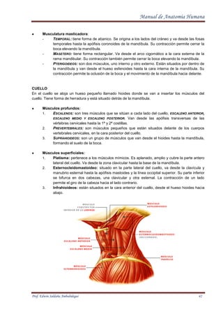 Manual de Anatomia Normal Humana Prof. Edwin Ambulodegui