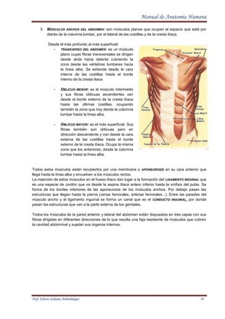 Manualde anatomiahumana