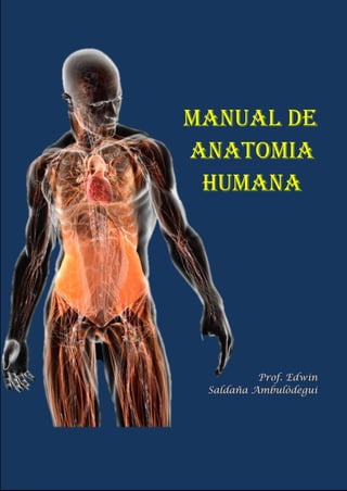 MANUAL DE
ANATOMIA
HUMANA
Prof. Edwin
Saldaña Ambulòdegui
 