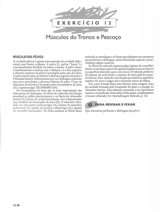 Manual_de_Anatomia_Humana_Para_Colorir.pdf