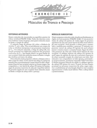 Manual_de_Anatomia_Humana_Para_Colorir.pdf
