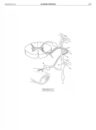 Manual_de_Anatomia_Humana_Para_Colorir.pdf