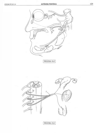 Manual_de_Anatomia_Humana_Para_Colorir.pdf