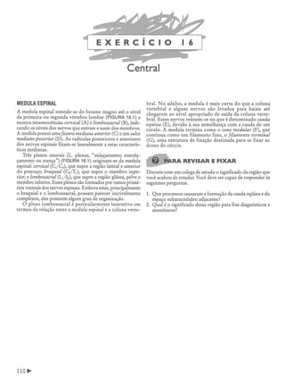 Manual_de_Anatomia_Humana_Para_Colorir.pdf