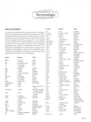 Manual_de_Anatomia_Humana_Para_Colorir.pdf