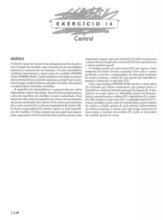 Manual_de_Anatomia_Humana_Para_Colorir.pdf