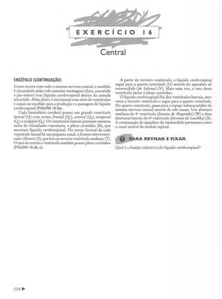 Manual_de_Anatomia_Humana_Para_Colorir.pdf