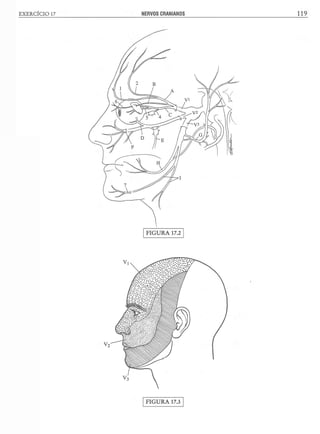 Manual_de_Anatomia_Humana_Para_Colorir.pdf
