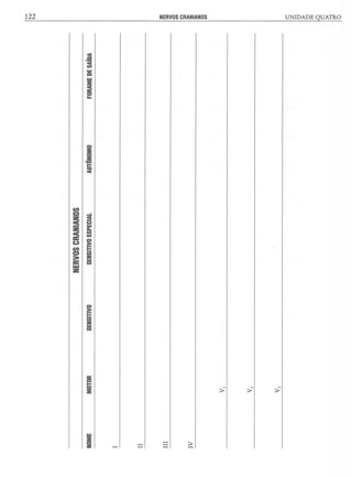 Manual_de_Anatomia_Humana_Para_Colorir.pdf