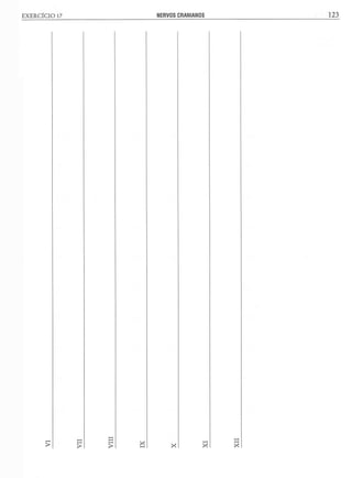 Manual_de_Anatomia_Humana_Para_Colorir.pdf