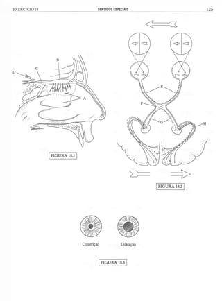 Manual_de_Anatomia_Humana_Para_Colorir.pdf