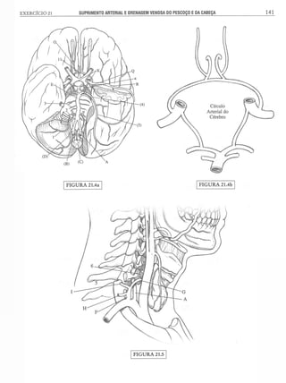 Manual_de_Anatomia_Humana_Para_Colorir.pdf