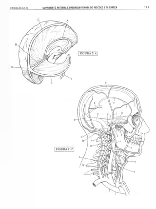 Manual_de_Anatomia_Humana_Para_Colorir.pdf