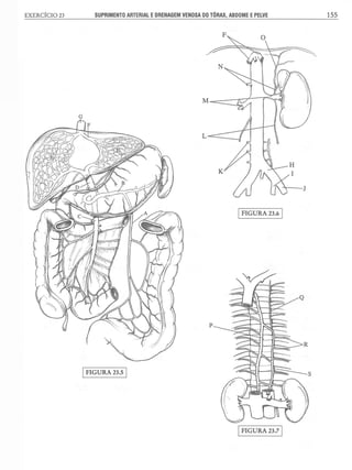 Manual_de_Anatomia_Humana_Para_Colorir.pdf