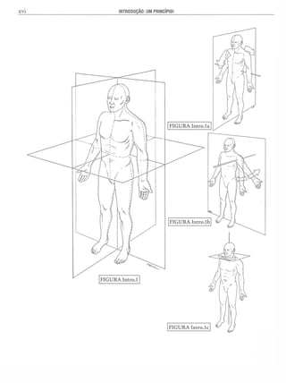 Manual_de_Anatomia_Humana_Para_Colorir.pdf
