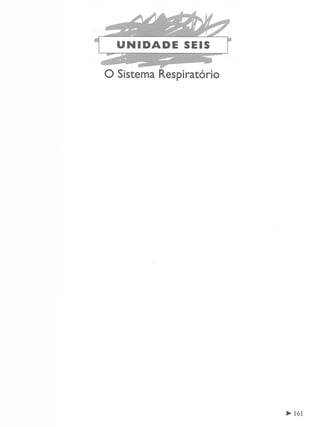 Manual_de_Anatomia_Humana_Para_Colorir.pdf